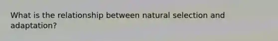 What is the relationship between natural selection and adaptation?