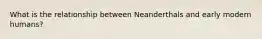 What is the relationship between Neanderthals and early modern humans?