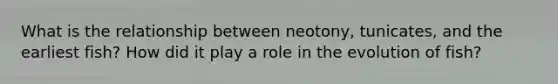 What is the relationship between neotony, tunicates, and the earliest fish? How did it play a role in the evolution of fish?