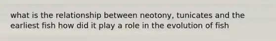 what is the relationship between neotony, tunicates and the earliest fish how did it play a role in the evolution of fish