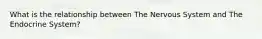 What is the relationship between The Nervous System and The Endocrine System?