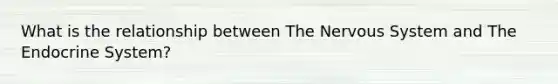 What is the relationship between The Nervous System and The Endocrine System?