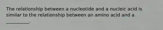 The relationship between a nucleotide and a nucleic acid is similar to the relationship between an amino acid and a __________.