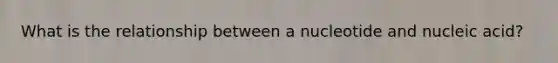 What is the relationship between a nucleotide and nucleic acid?