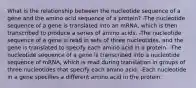 What is the relationship between the nucleotide sequence of a gene and the amino acid sequence of a protein? -The nucleotide sequence of a gene is translated into an mRNA, which is then transcribed to produce a series of amino acids. -The nucleotide sequence of a gene is read in sets of three nucleotides, and the gene is translated to specify each amino acid in a protein. -The nucleotide sequence of a gene is transcribed into a nucleotide sequence of mRNA, which is read during translation in groups of three nucleotides that specify each amino acid. -Each nucleotide in a gene specifies a different amino acid in the protein.