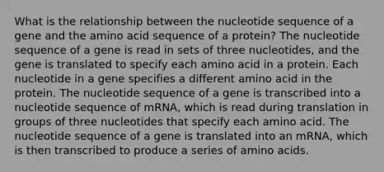 What is the relationship between the nucleotide sequence of a gene and the amino acid sequence of a protein? The nucleotide sequence of a gene is read in sets of three nucleotides, and the gene is translated to specify each amino acid in a protein. Each nucleotide in a gene specifies a different amino acid in the protein. The nucleotide sequence of a gene is transcribed into a nucleotide sequence of mRNA, which is read during translation in groups of three nucleotides that specify each amino acid. The nucleotide sequence of a gene is translated into an mRNA, which is then transcribed to produce a series of amino acids.