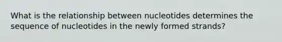 What is the relationship between nucleotides determines the sequence of nucleotides in the newly formed strands?