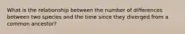 What is the relationship between the number of differences between two species and the time since they diverged from a common ancestor?