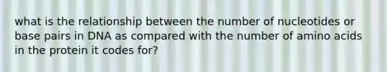 what is the relationship between the number of nucleotides or base pairs in DNA as compared with the number of amino acids in the protein it codes for?