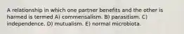 A relationship in which one partner benefits and the other is harmed is termed A) commensalism. B) parasitism. C) independence. D) mutualism. E) normal microbiota.