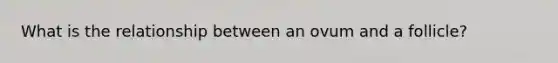What is the relationship between an ovum and a follicle?