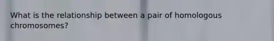 What is the relationship between a pair of homologous chromosomes?