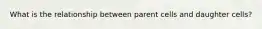 What is the relationship between parent cells and daughter cells?