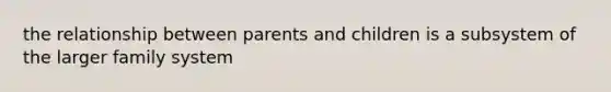 the relationship between parents and children is a subsystem of the larger family system