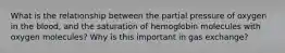 What is the relationship between the partial pressure of oxygen in the blood, and the saturation of hemoglobin molecules with oxygen molecules? Why is this important in gas exchange?