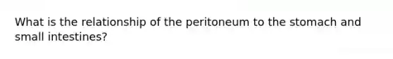 What is the relationship of the peritoneum to the stomach and small intestines?