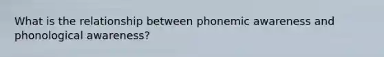 What is the relationship between phonemic awareness and phonological awareness?