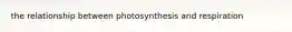 the relationship between photosynthesis and respiration