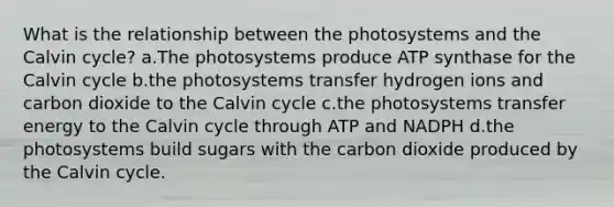 What is the relationship between the photosystems and the Calvin cycle? a.The photosystems produce ATP synthase for the Calvin cycle b.the photosystems transfer hydrogen ions and carbon dioxide to the Calvin cycle c.the photosystems transfer energy to the Calvin cycle through ATP and NADPH d.the photosystems build sugars with the carbon dioxide produced by the Calvin cycle.