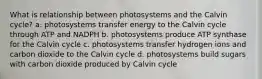 What is relationship between photosystems and the Calvin cycle? a. photosystems transfer energy to the Calvin cycle through ATP and NADPH b. photosystems produce ATP synthase for the Calvin cycle c. photosystems transfer hydrogen ions and carbon dioxide to the Calvin cycle d. photosystems build sugars with carbon dioxide produced by Calvin cycle