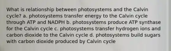 What is relationship between photosystems and the Calvin cycle? a. photosystems transfer energy to the Calvin cycle through ATP and NADPH b. photosystems produce ATP synthase for the Calvin cycle c. photosystems transfer hydrogen ions and carbon dioxide to the Calvin cycle d. photosystems build sugars with carbon dioxide produced by Calvin cycle