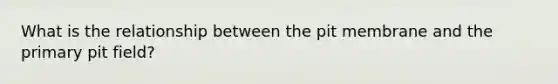 What is the relationship between the pit membrane and the primary pit field?