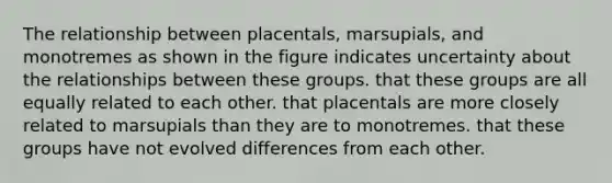 The relationship between placentals, marsupials, and monotremes as shown in the figure indicates uncertainty about the relationships between these groups. that these groups are all equally related to each other. that placentals are more closely related to marsupials than they are to monotremes. that these groups have not evolved differences from each other.