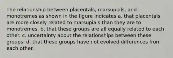 The relationship between placentals, marsupials, and monotremes as shown in the figure indicates a. that placentals are more closely related to marsupials than they are to monotremes. b. that these groups are all equally related to each other. c. uncertainty about the relationships between these groups. d. that these groups have not evolved differences from each other.