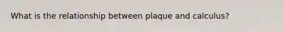 What is the relationship between plaque and calculus?