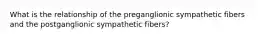 What is the relationship of the preganglionic sympathetic fibers and the postganglionic sympathetic fibers?