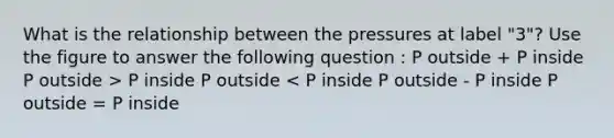 What is the relationship between the pressures at label "3"? Use the figure to answer the following question : P outside + P inside P outside > P inside P outside < P inside P outside - P inside P outside = P inside