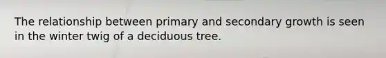 The relationship between primary and secondary growth is seen in the winter twig of a deciduous tree.