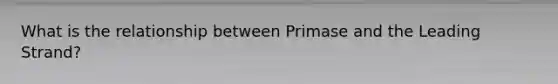 What is the relationship between Primase and the Leading Strand?