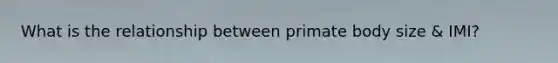 What is the relationship between primate body size & IMI?