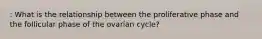 : What is the relationship between the proliferative phase and the follicular phase of the ovarian cycle?