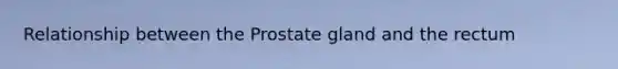 Relationship between the Prostate gland and the rectum