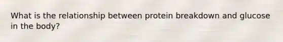 What is the relationship between protein breakdown and glucose in the body?