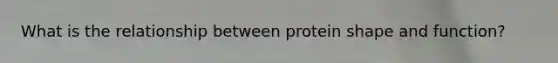 What is the relationship between protein shape and function?