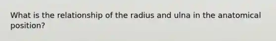 What is the relationship of the radius and ulna in the anatomical position?