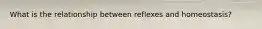 What is the relationship between reflexes and homeostasis?