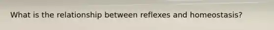 What is the relationship between reflexes and homeostasis?