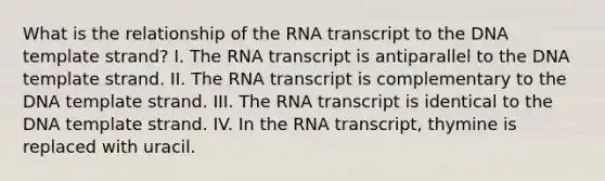 What is the relationship of the RNA transcript to the DNA template strand? I. The RNA transcript is antiparallel to the DNA template strand. II. The RNA transcript is complementary to the DNA template strand. III. The RNA transcript is identical to the DNA template strand. IV. In the RNA transcript, thymine is replaced with uracil.