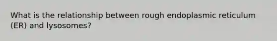 What is the relationship between rough endoplasmic reticulum (ER) and lysosomes?