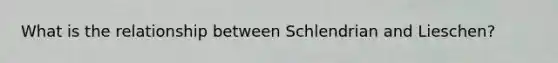 What is the relationship between Schlendrian and Lieschen?