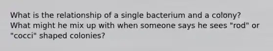 What is the relationship of a single bacterium and a colony? What might he mix up with when someone says he sees "rod" or "cocci" shaped colonies?