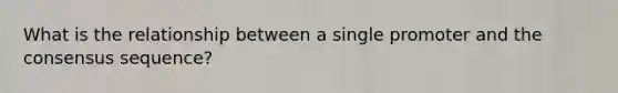 What is the relationship between a single promoter and the consensus sequence?