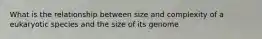 What is the relationship between size and complexity of a eukaryotic species and the size of its genome