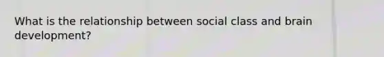 What is the relationship between social class and brain development?