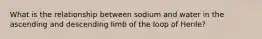 What is the relationship between sodium and water in the ascending and descending limb of the loop of Henle?