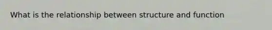 What is the relationship between structure and function